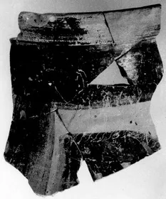 AMPHORA, BELLY, FRAGMENT (ATHENIAN, BLACK-FIGURE)