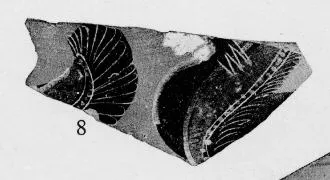FRAGMENT (EAST GREEK, CLAZOMENIAN, BLACK-FIGURE)