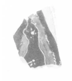 AMPHORA, PANATHENAIC PRIZE, FRAGMENT (ATHENIAN, BLACK-FIGURE)