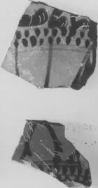 LEKANIS, FRAGMENTS (ATHENIAN, BLACK-FIGURE)