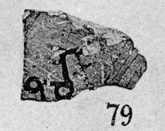 LID, FRAGMENT (PROTOATTIC)