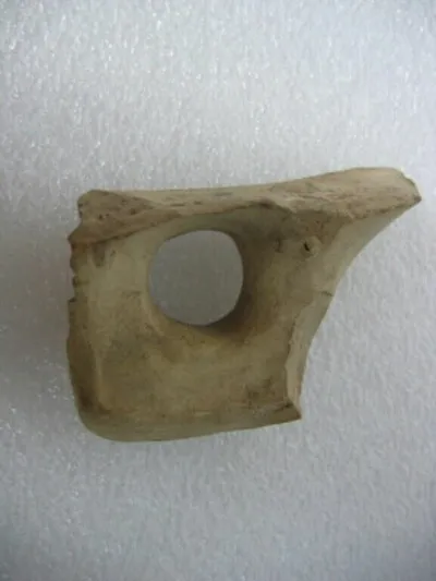 vase