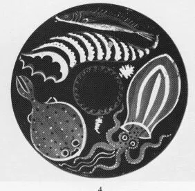 FISH PLATE (SOUTH ITALIAN, APULIAN, RED-FIGURE)