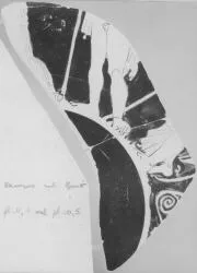 CUP, FRAGMENT (ATHENIAN, RED-FIGURE)