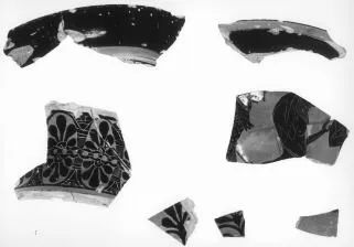 AMPHORA, NECK, FRAGMENTS (ATHENIAN, BLACK-FIGURE)