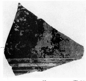 PITHOS, FRAGMENT (CRETAN)