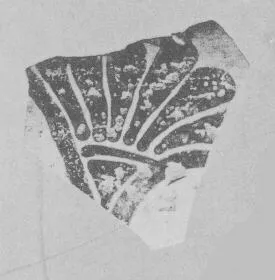 AMPHORA, BELLY, FRAGMENT (EAST GREEK, FIKELLURA)