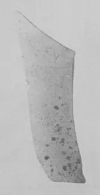 SITULA, FRAGMENT (EAST GREEK, SILHOUETTE)