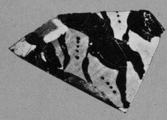 CUP, LITTLE MASTER BAND, FRAGMENT (ATHENIAN, BLACK-FIGURE)