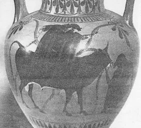 AMPHORA, NECK (ATHENIAN, BLACK-FIGURE)