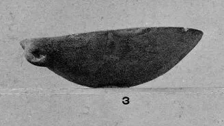BOWL (CYPRIOT, BRONZE AGE)