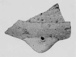 PLATE, FRAGMENT (MINOAN)