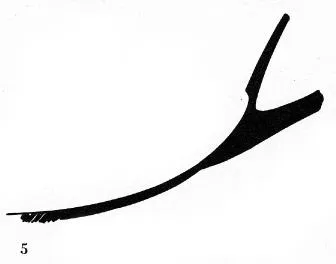 CUP (IONIAN, BLACK PATTERN)