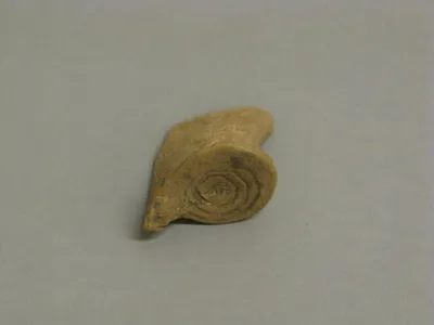 œnochoé