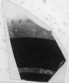 CUP, LITTLE MASTER LIP (?), FRAGMENT (ATHENIAN, BLACK-FIGURE)