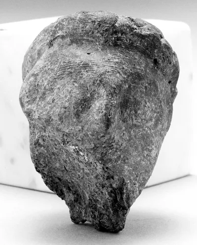 Male Head