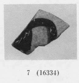 OINOCHOE, FRAGMENTS (ATHENIAN, BLACK-FIGURE)