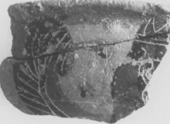 LEKANIS, FRAGMENTS (ATHENIAN, BLACK-FIGURE)