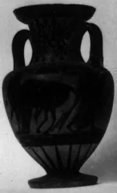 AMPHORA, NECK (ATHENIAN, BLACK-FIGURE)