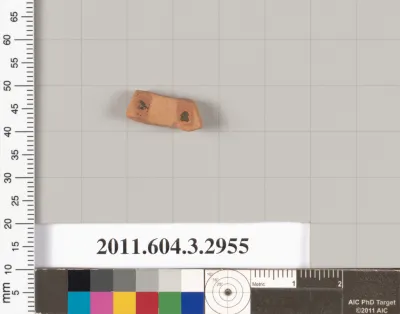 Terracotta fragment of a closed shape