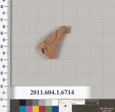 Terracotta fragment of a kylix (drinking cup)