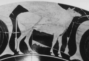 CUP A (ATHENIAN, RED-FIGURE)