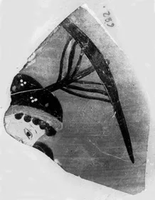 AMPHORA, BELLY, FRAGMENT (ATHENIAN, BLACK-FIGURE)