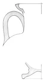 AMPHORA, NECK (ATHENIAN, BLACK-FIGURE)