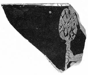 SKYPHOS, FRAGMENT (ATHENIAN, RED-FIGURE)