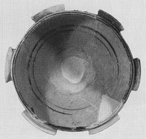 CUP (DAUNIAN)