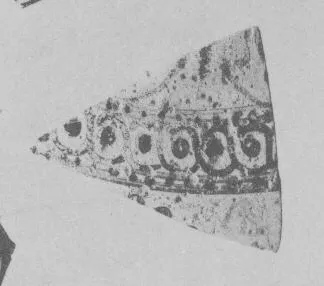 AMPHORA, BELLY, FRAGMENT (EAST GREEK, FIKELLURA)