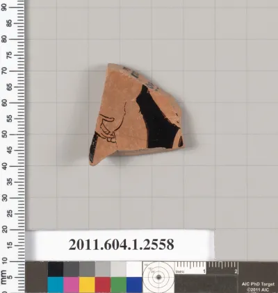 Terracotta fragment of a kylix (drinking cup)