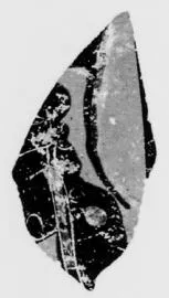 OINOCHOE, FRAGMENT (ATHENIAN, BLACK-FIGURE)