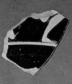 CUP, FRAGMENT (ATHENIAN, RED-FIGURE)