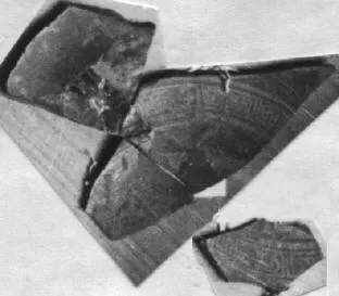 CUP, FRAGMENTS (ATHENIAN, RED-FIGURE)
