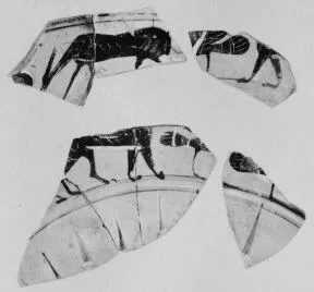 AMPHORA, NECK, FRAGMENTS (ATHENIAN, BLACK-FIGURE)