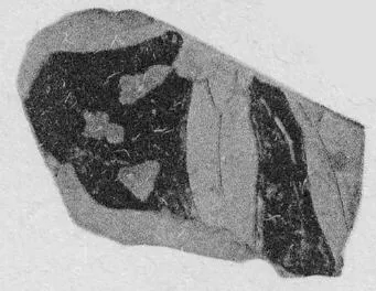 FRAGMENTS (ATHENIAN, RED-FIGURE)