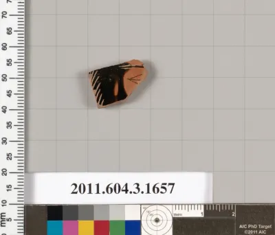 Terracotta fragment of a kylix: Band cup (drinking cup)