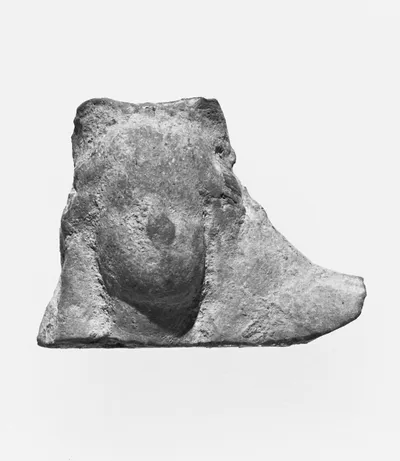 Female Head