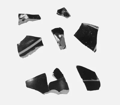Attic Black-Figure Neck Amphora Fragment