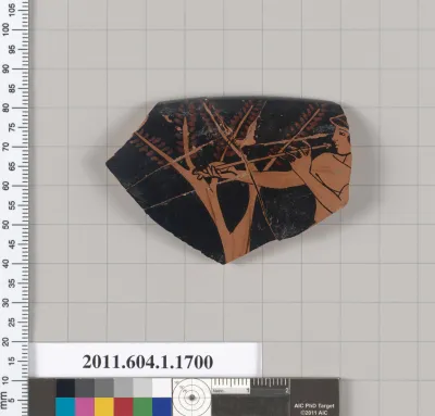 Terracotta rim fragment of a kylix (drinking cup)