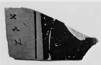 AMPHORA, PANATHENAIC PRIZE, FRAGMENT (ATHENIAN, BLACK-FIGURE)