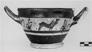 SKYPHOS (ATHENIAN, BLACK-FIGURE)