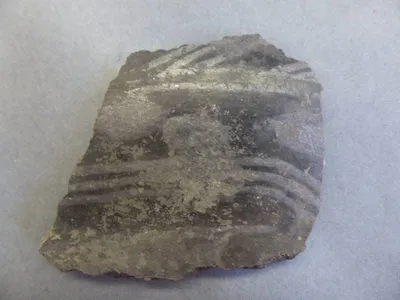 vase ; fragment
