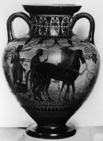 AMPHORA, NECK (ATHENIAN, BLACK-FIGURE)