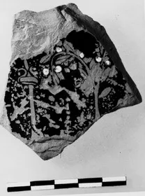 PELIKE, FRAGMENT (ATHENIAN, RED-FIGURE)