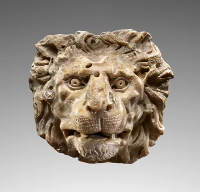 Head of a Lion