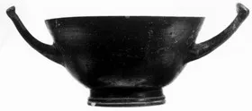 CUP, STEMLESS (ITALIOTE)