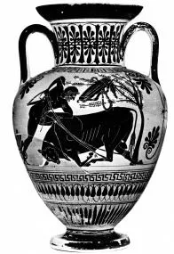AMPHORA, NECK (ATHENIAN, BLACK-FIGURE)