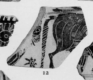 AMPHORA (?), FRAGMENT (ATHENIAN, BLACK-FIGURE)